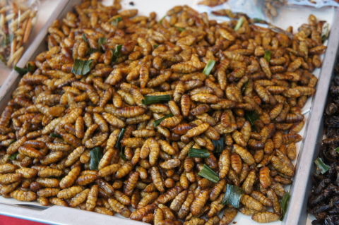 チェンマイの不思議な食材画像