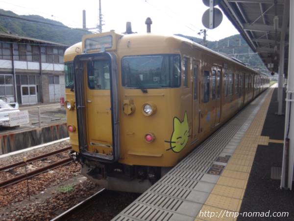 岡山駅『JR西日本「115系」』