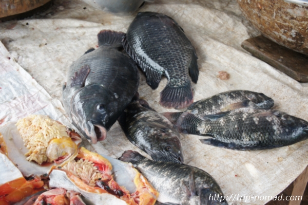 『タラート・サオ市場』魚の内臓画像