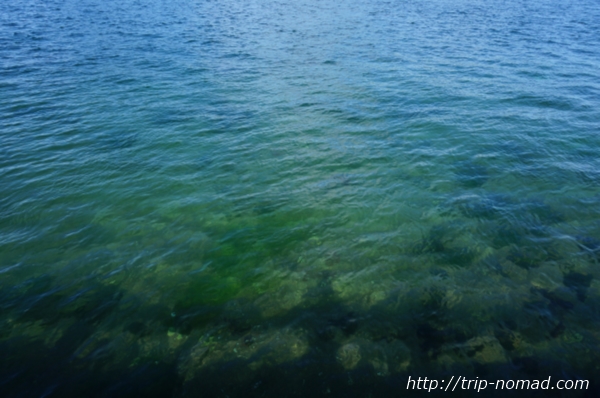 バイカル湖透明度チェック画像