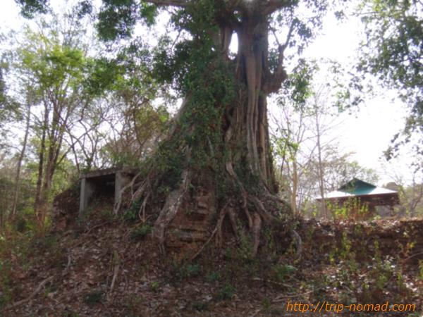 カンボジア『サンボープレイクック遺跡群』画像