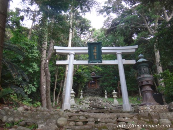 御蔵島『稲根神社』画像