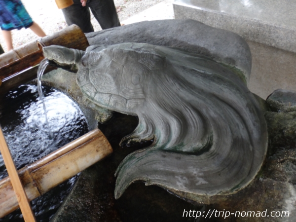 『伊弉諾神宮』亀の手水場画像