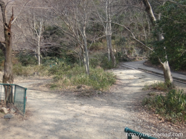 「岡本駅」から『保久良神社』への行き方　金鳥山の山道