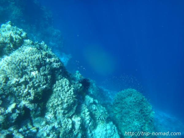 ジープ島キミシマ環礁画像